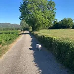 La Steveniere Et D'hotes Vendégház 4*
