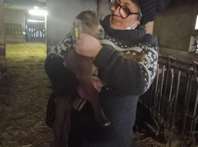 Guest house La Steveniere Et D'hotes 3*